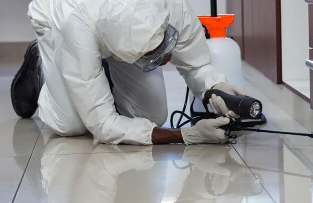 Dedetizadora Expansão Araçatuba SP, dedetização baratas, dedetização aranhas, dedetização de escorpiões, dedetização carrapatos, Controle de pomb (1)