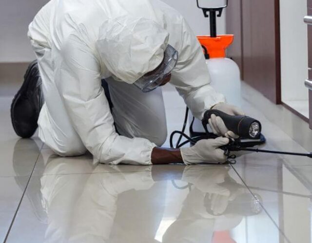 Dedetizadora Expansão Araçatuba SP, dedetização baratas, dedetização aranhas, dedetização de escorpiões, dedetização carrapatos, Controle de pomb (1)