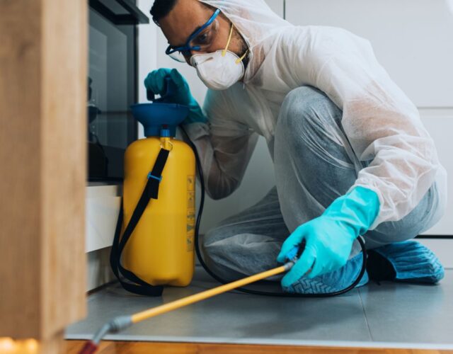 Dedetizadora Expansão Araçatuba SP, dedetização baratas, dedetização aranhas, dedetização de escorpiões, dedetização carrapatos, Controle de pomb (1)