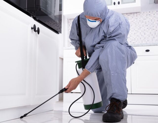 Dedetizadora Expansão Araçatuba SP, dedetização baratas, dedetização aranhas, dedetização de escorpiões, dedetização carrapatos, Controle de pomb (1)