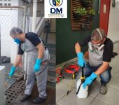 Daniel Marcheseli Desentupidora em Guarulhos (1)