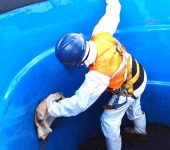 Líder Desentupidora em Rolandia PR - Desentupimentos de rede de esgoto, vasos sanitários, ralos e pias. Limpeza de fossa séptica e transporte de resíduos. Limpeza de caixa d’água